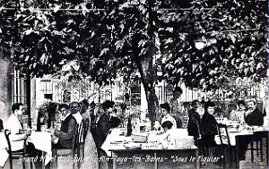 1349- Ain-Taya - Grand hotel du Figuier